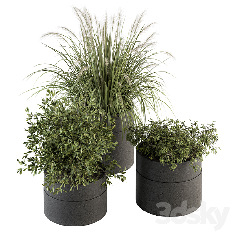 indoor Plant Set 250 – Plants Set in Pot 3DS Max Model - thumbnail 1