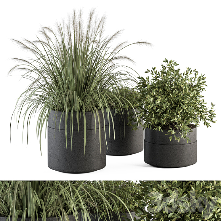 indoor Plant Set 250 – Plants Set in Pot 3DS Max Model - thumbnail 2