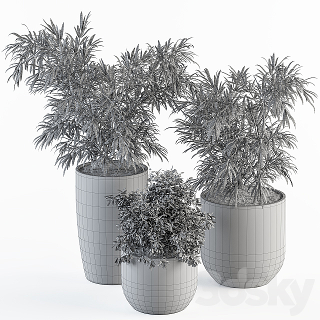 indoor Plant Set 253 – Plants Set in pot 3DSMax File - thumbnail 5