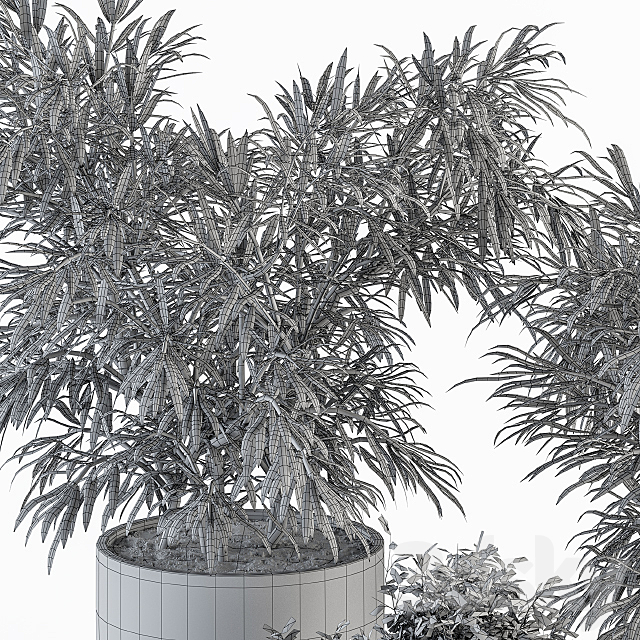 indoor Plant Set 253 – Plants Set in pot 3DSMax File - thumbnail 6