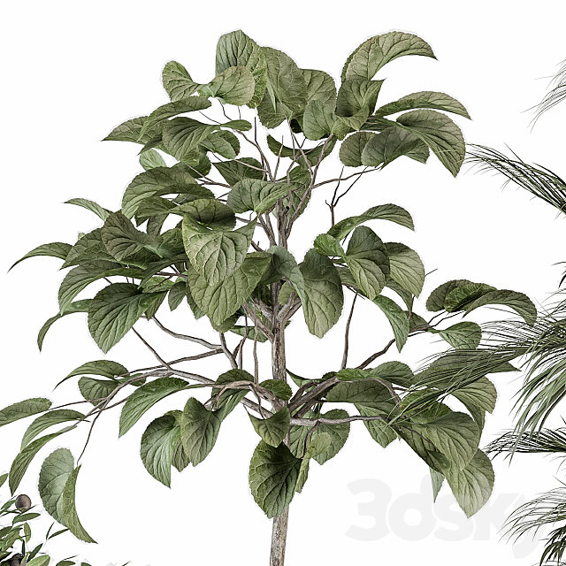 indoor Plant Set 257 – Plant Set in pot 3DS Max Model - thumbnail 3