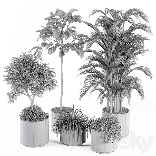 indoor Plant Set 257 – Plant Set in pot 3DS Max Model - thumbnail 6