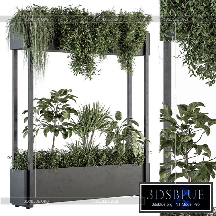 indoor Plant Set 258 – Plant Box Stand 3DS Max - thumbnail 3