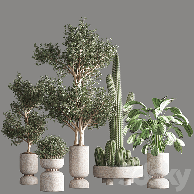 indoor plant set 26 3DS Max Model - thumbnail 1