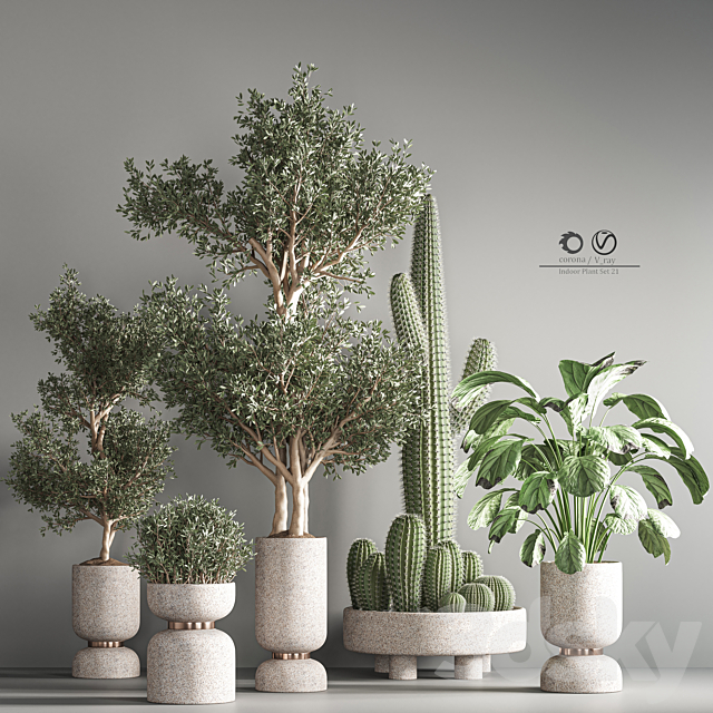 indoor plant set 26 3DS Max Model - thumbnail 2