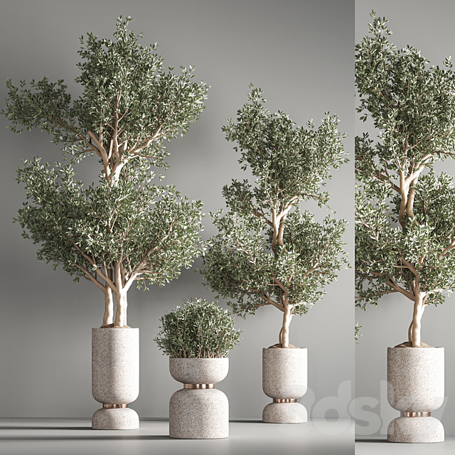 indoor plant set 26 3DS Max Model - thumbnail 3