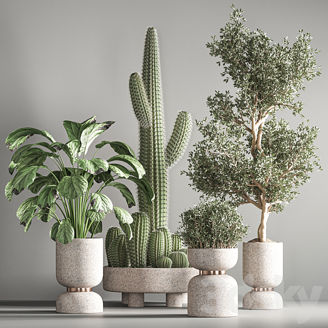 indoor plant set 26 3DS Max Model - thumbnail 4