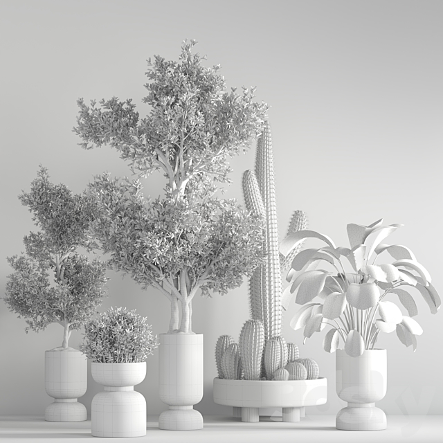 indoor plant set 26 3DS Max Model - thumbnail 6