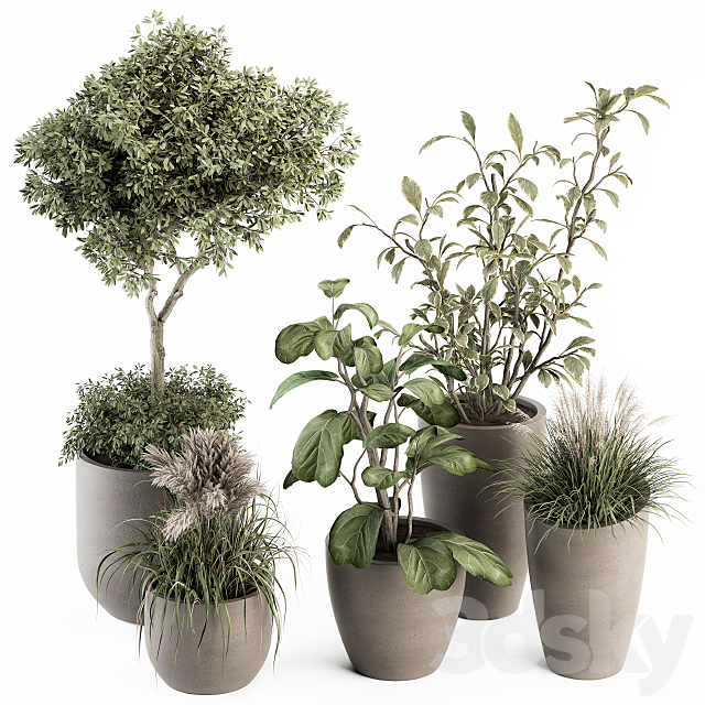 indoor Plant Set 264 – Plant Set in pot 3DSMax File - thumbnail 1