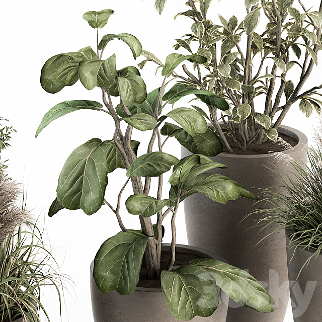 indoor Plant Set 264 – Plant Set in pot 3DSMax File - thumbnail 2