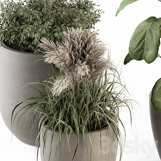 indoor Plant Set 264 – Plant Set in pot 3DSMax File - thumbnail 4