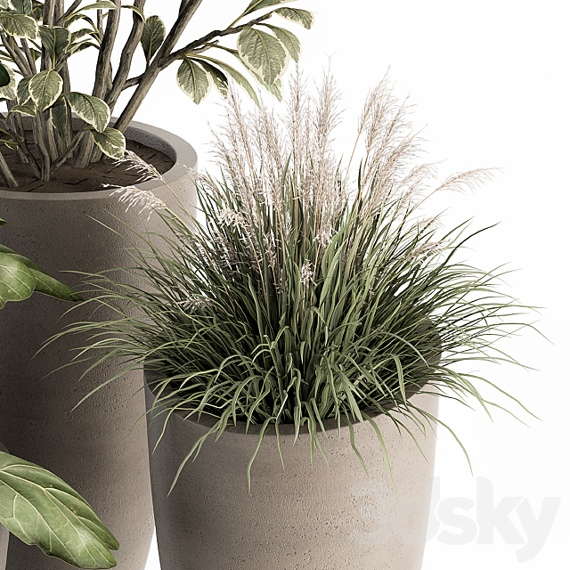 indoor Plant Set 264 – Plant Set in pot 3DSMax File - thumbnail 5