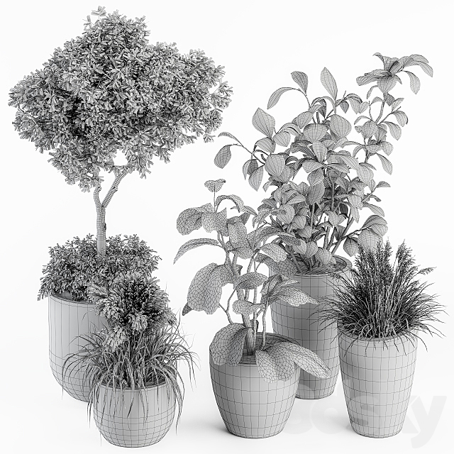 indoor Plant Set 264 – Plant Set in pot 3DSMax File - thumbnail 6