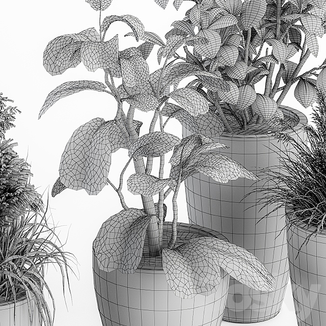 indoor Plant Set 264 – Plant Set in pot 3DSMax File - thumbnail 7