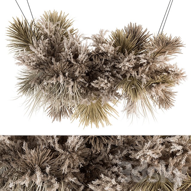 indoor Plant Set 278 – Pendant Dried Plant Hanging 3ds Max - thumbnail 1