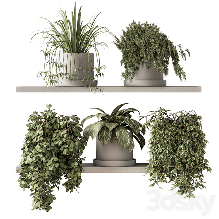 indoor Plant Set 281 – Plant pot on shelves 3DS Max Model - thumbnail 1