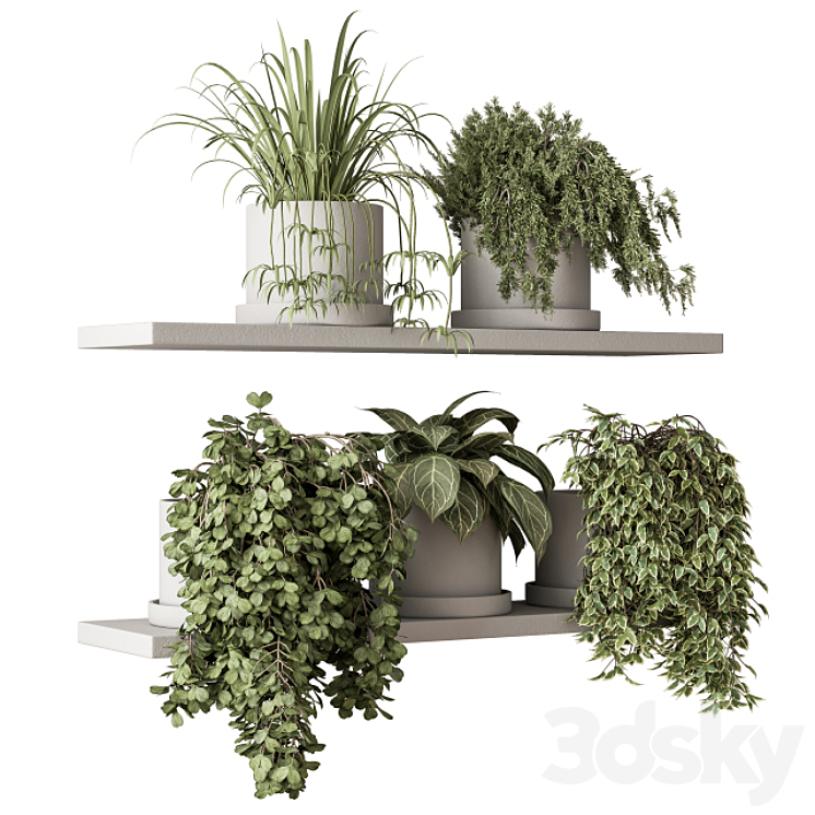 indoor Plant Set 281 – Plant pot on shelves 3DS Max Model - thumbnail 2