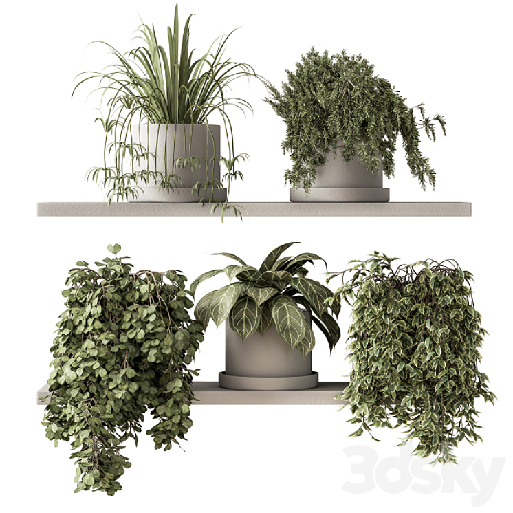 indoor Plant Set 281 – Plant pot on shelves 3DS Max - thumbnail 1