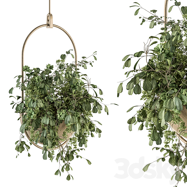 indoor Plant Set 283 – Hanging Plants 3ds Max - thumbnail 1