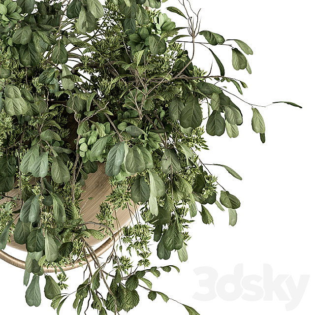 indoor Plant Set 283 – Hanging Plants 3ds Max - thumbnail 3