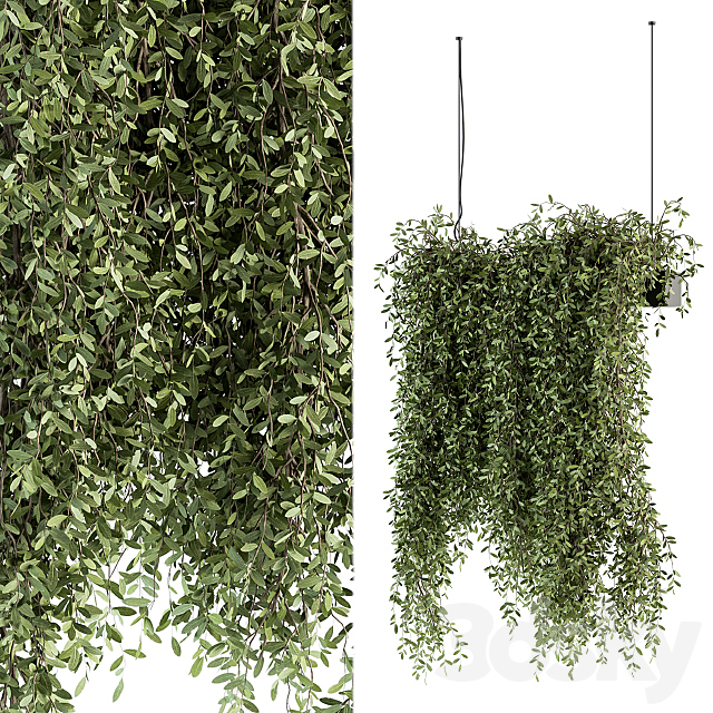 indoor Plant Set 287 – Hanging Plants 3ds Max - thumbnail 2