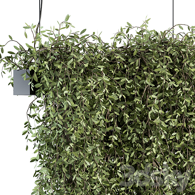 indoor Plant Set 287 – Hanging Plants 3ds Max - thumbnail 3