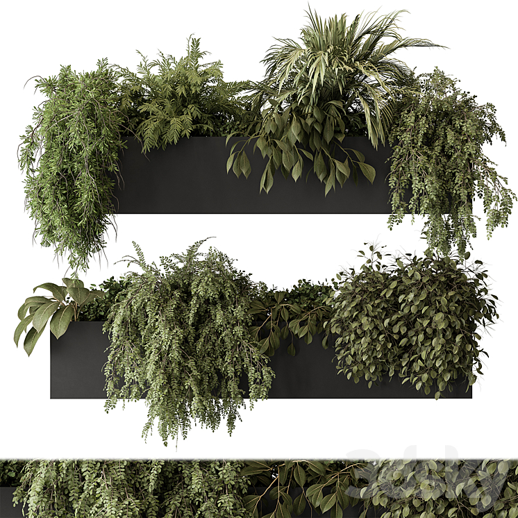 indoor Plant Set 297 – Hanging Plants 3DS Max Model - thumbnail 1