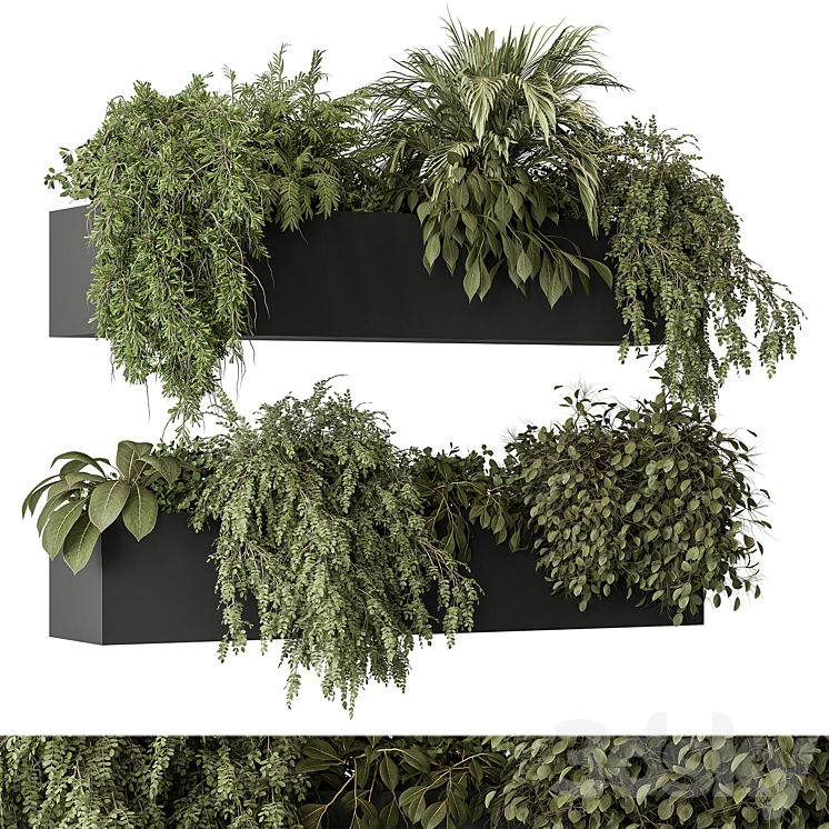 indoor Plant Set 297 – Hanging Plants 3DS Max Model - thumbnail 2