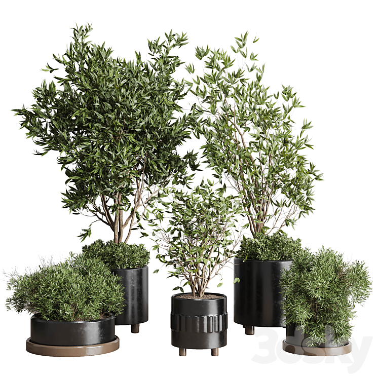 Indoor plant set 298 concrete vase plant tree bush pot 3DS Max Model - thumbnail 3