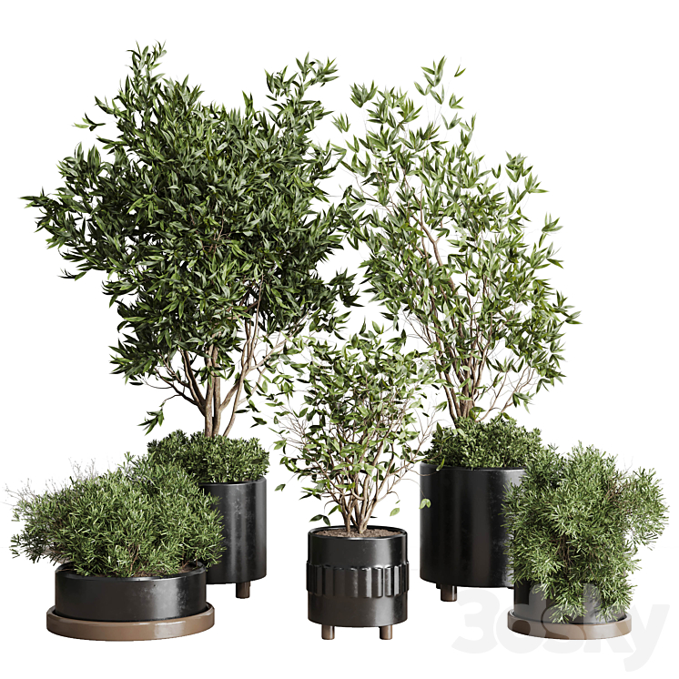 Indoor plant set 298 concrete vase plant tree bush pot 3DS Max - thumbnail 1