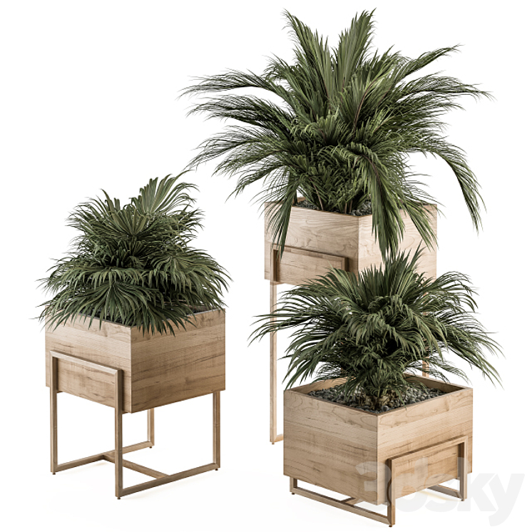 indoor Plant Set 318 – Plant Set in Wood Box 3DS Max Model - thumbnail 1