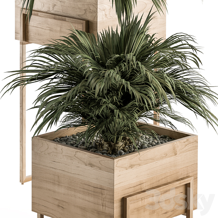 indoor Plant Set 318 – Plant Set in Wood Box 3DS Max Model - thumbnail 2