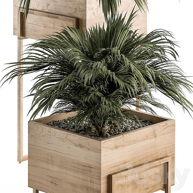 indoor Plant Set 318 – Plant Set in Wood Box 3DSMax File - thumbnail 2