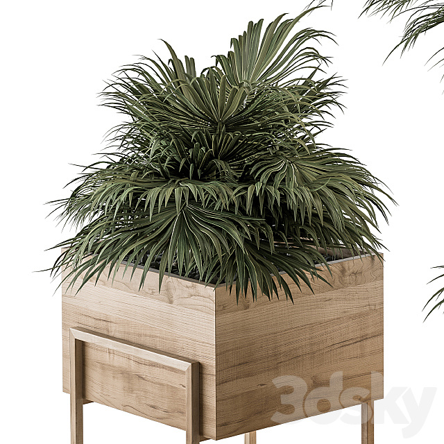 indoor Plant Set 318 – Plant Set in Wood Box 3DSMax File - thumbnail 3