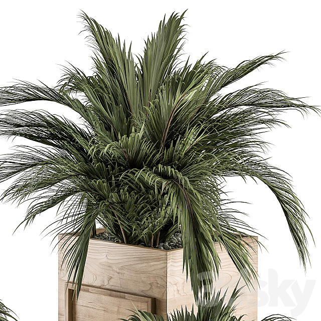 indoor Plant Set 318 – Plant Set in Wood Box 3DSMax File - thumbnail 4