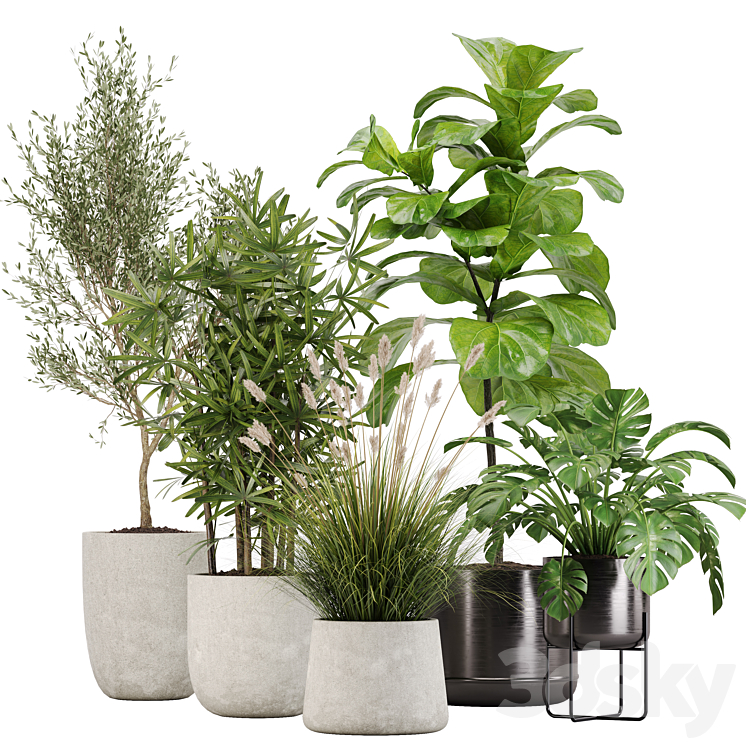 indoor plant set 32 3DS Max - thumbnail 1