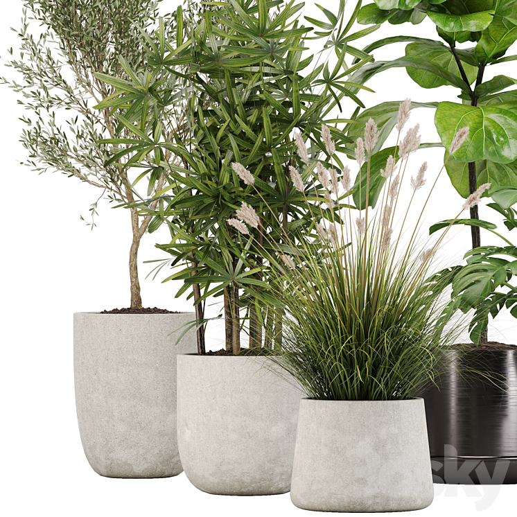 indoor plant set 32 3DS Max - thumbnail 2