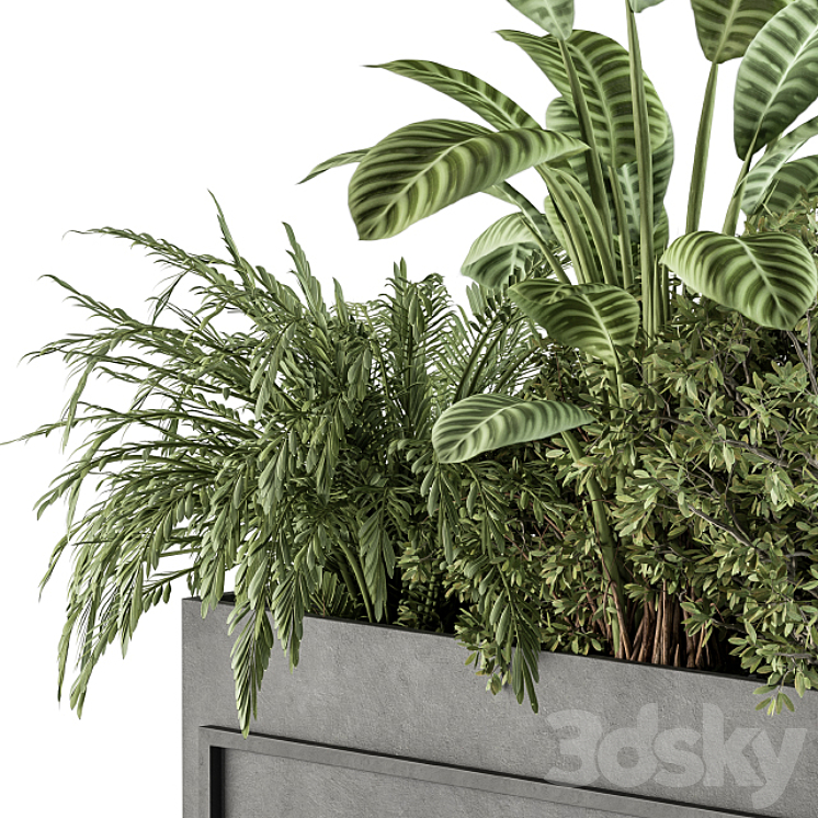 indoor Plant Set 321 – Plant Set in Black Box 3DS Max Model - thumbnail 2