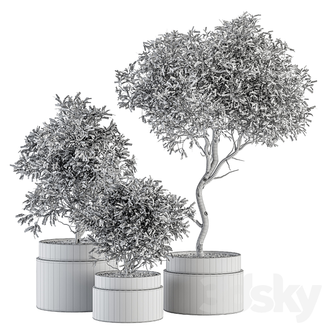 indoor Plant Set 340- Tree and Plant Set in pot 3DSMax File - thumbnail 4