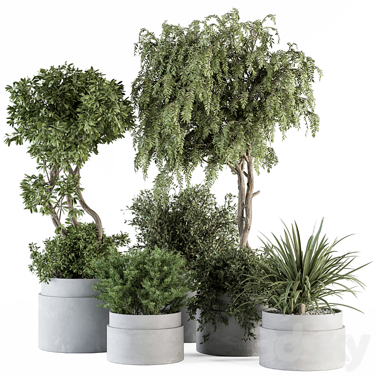 indoor Plant Set 341- Tree and Plant Set in Gray pot 3DS Max Model - thumbnail 3