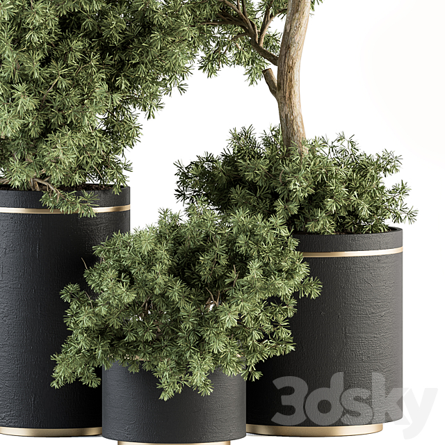 indoor Plant Set 344- Tree and Plant Set in pot 3ds Max - thumbnail 2