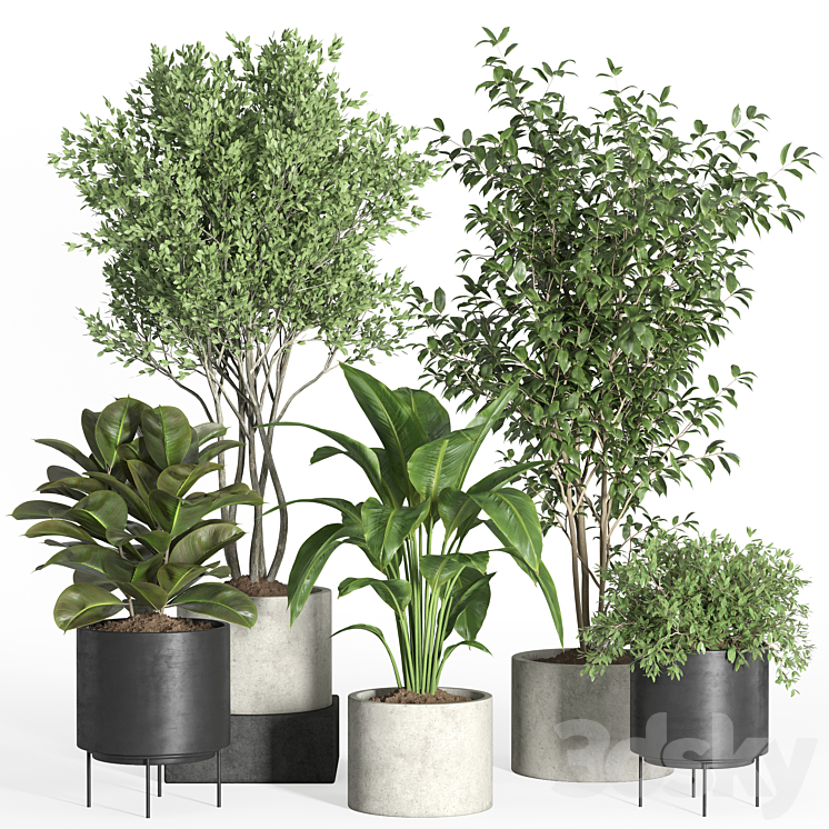 indoor plant set 35-concrete and metal pot 3DS Max Model - thumbnail 3