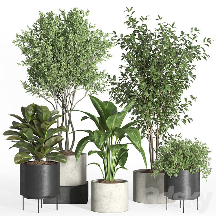 indoor plant set 35-concrete and metal pot 3DS Max - thumbnail 1