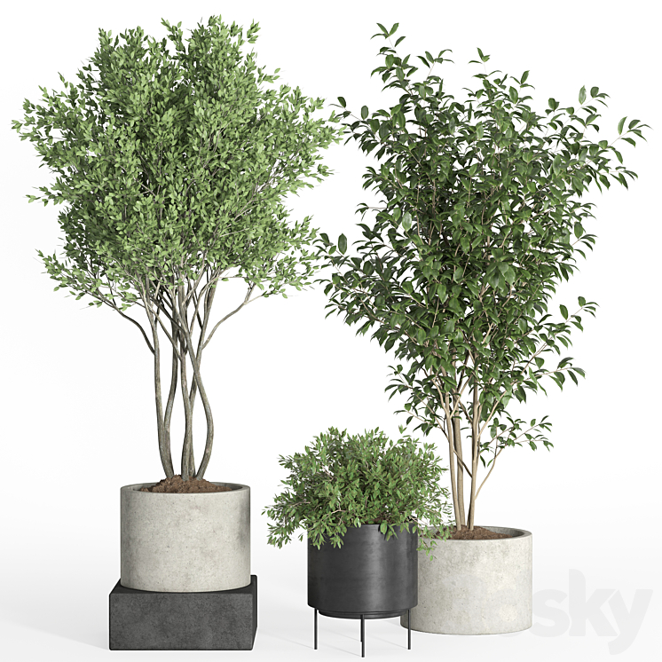 indoor plant set 35-concrete and metal pot 3DS Max - thumbnail 2