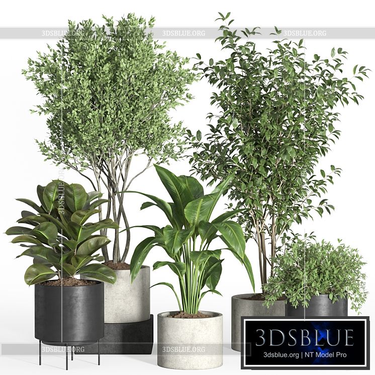 indoor plant set 35-concrete and metal pot 3DS Max - thumbnail 3