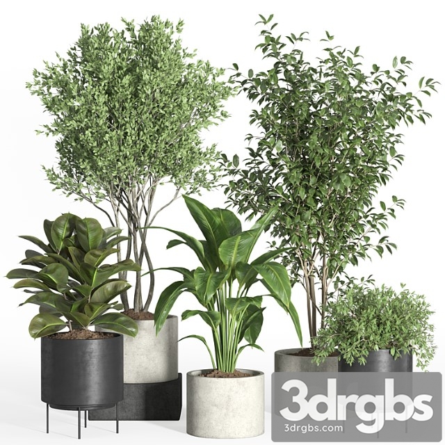 Indoor plant set 35-concrete and metal pot - thumbnail 1