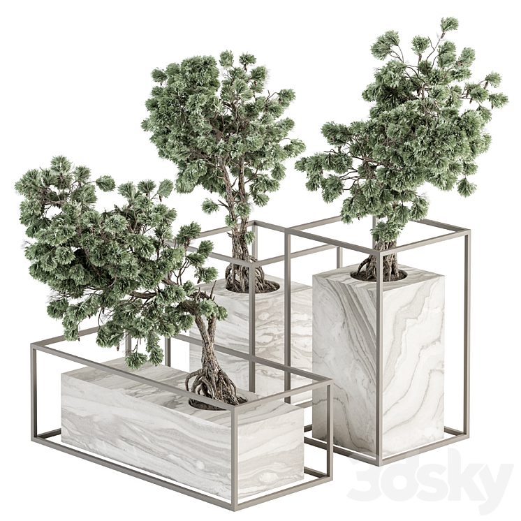 indoor Plant Set 358 – Bonsai Set Plant in pot 3DS Max Model - thumbnail 3