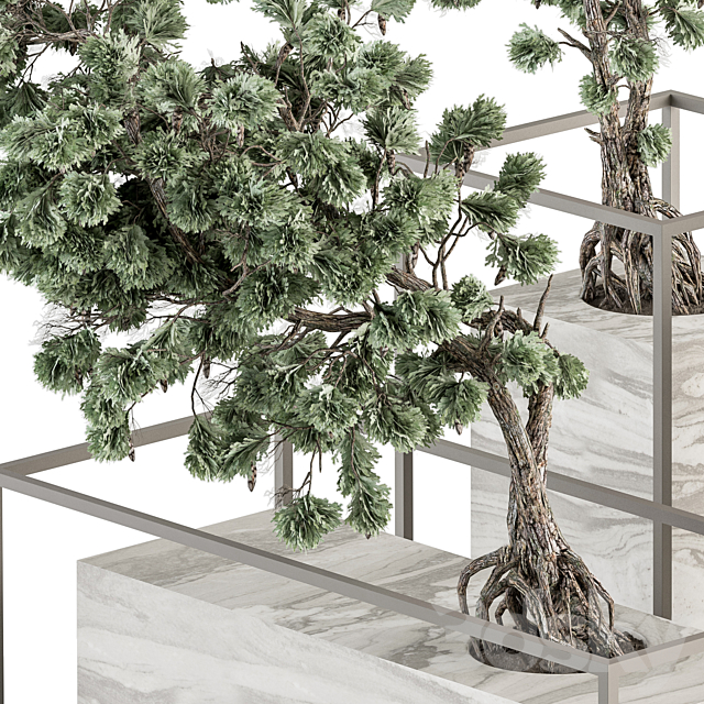 indoor Plant Set 358 – Bonsai Set Plant in pot 3DSMax File - thumbnail 2