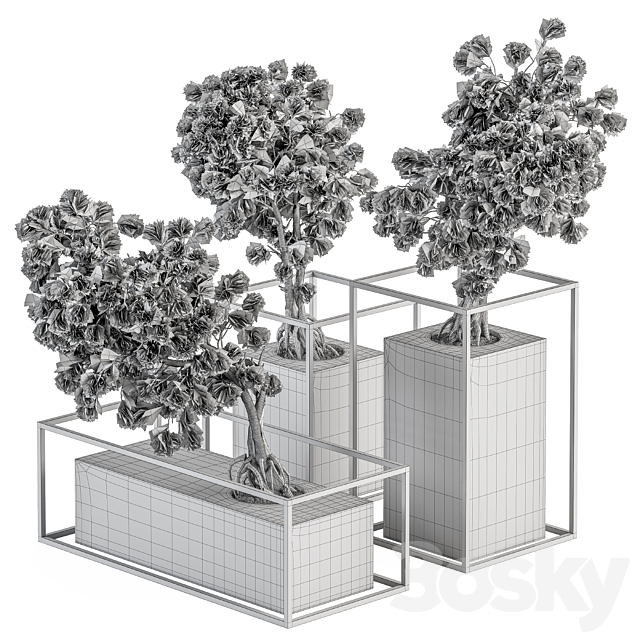 indoor Plant Set 358 – Bonsai Set Plant in pot 3DSMax File - thumbnail 4