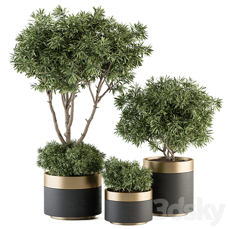 indoor Plant Set 361- Tree and Plant Set in pot 3DS Max Model - thumbnail 1